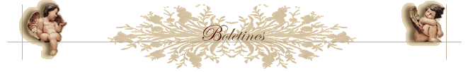 boletines veracruz baeza